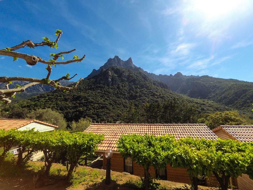 Camping Les Oliviers Porto  Exterior foto